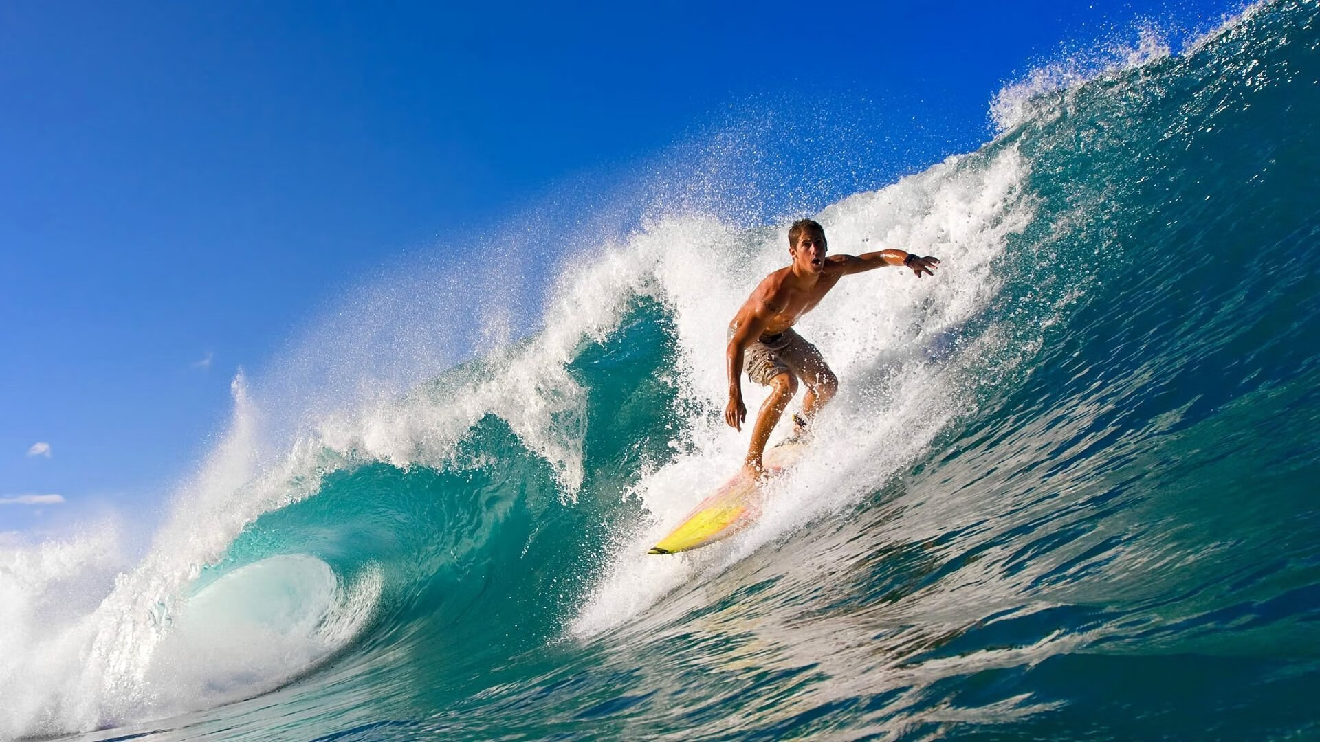 开云真人体育娱乐-训练与策略：球队如何逆袭实现“翻盘”？